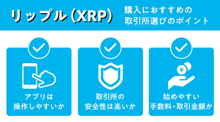 XRP購入の取引所選びのポイント